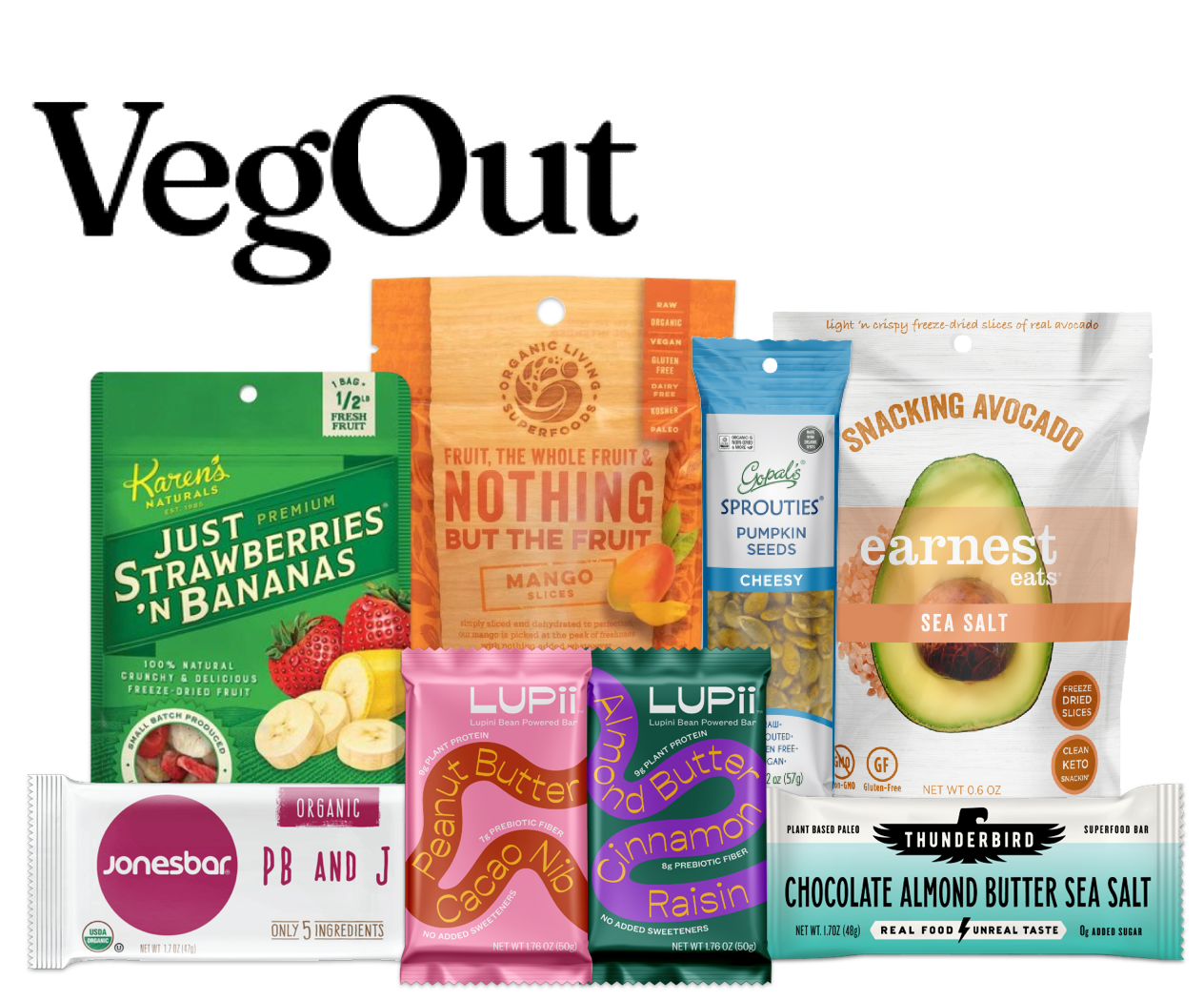VegOut + airfare 10-snack sampler
